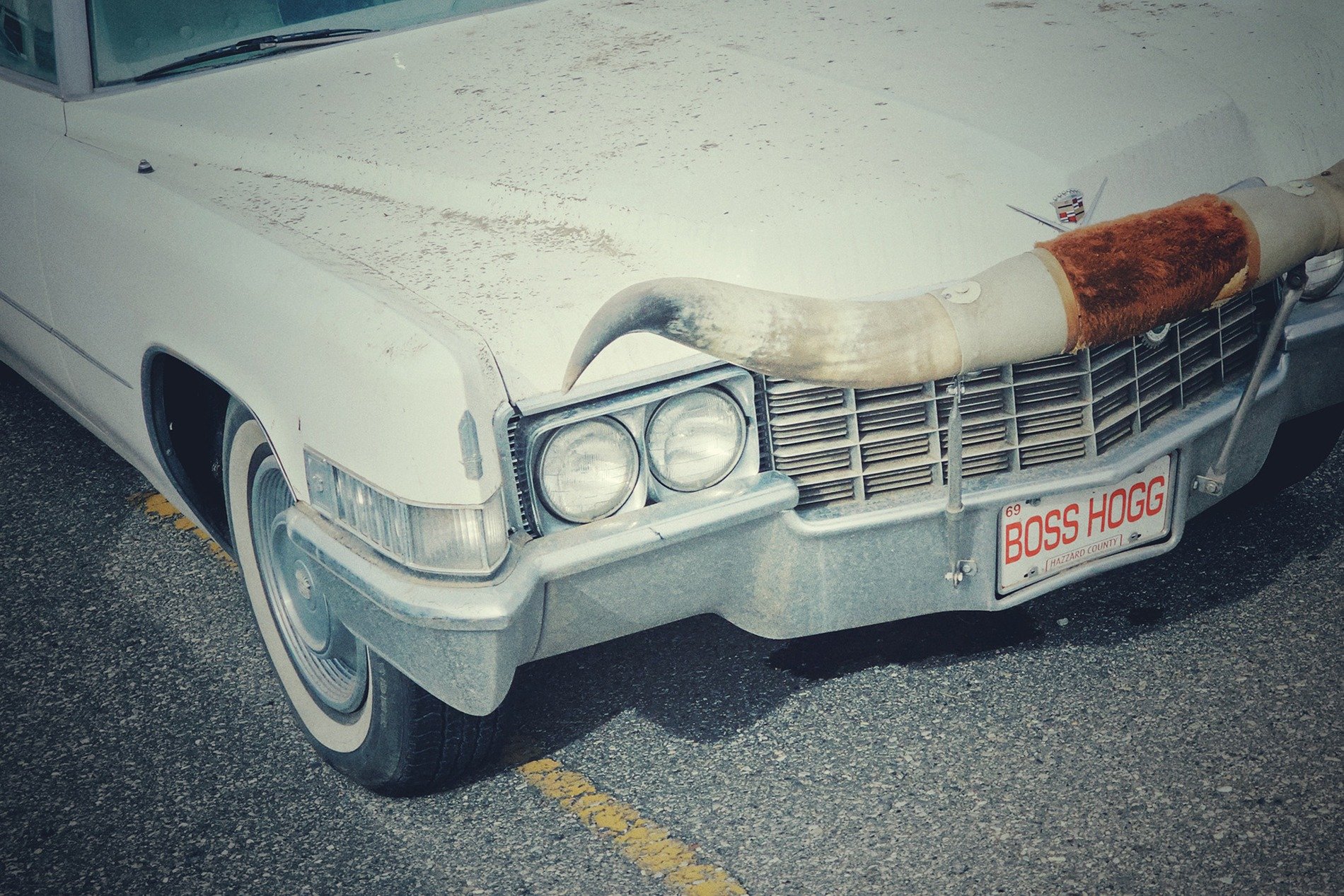 Cadillac with Longhorns