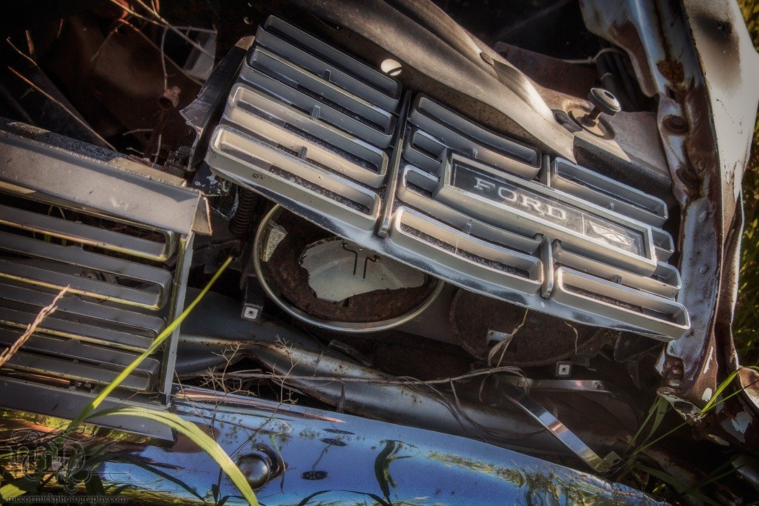 Damaged Ford Grille