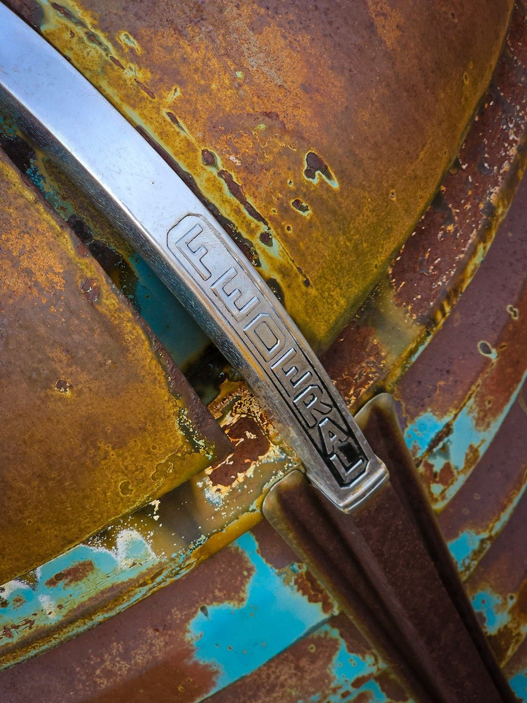 Federal Emblem on Rusty Hood