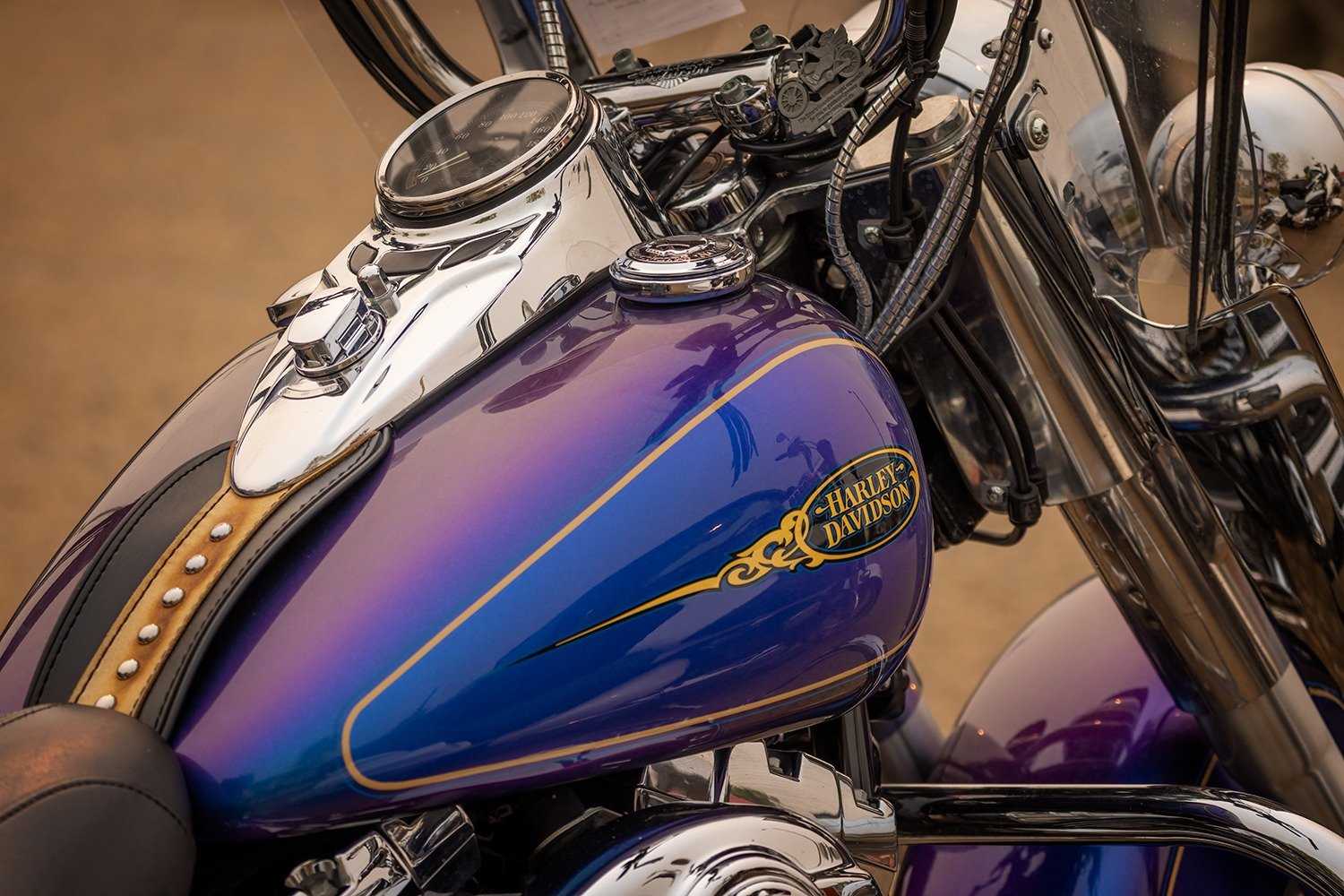 Harley-Davidson Fuel Tank Detail
