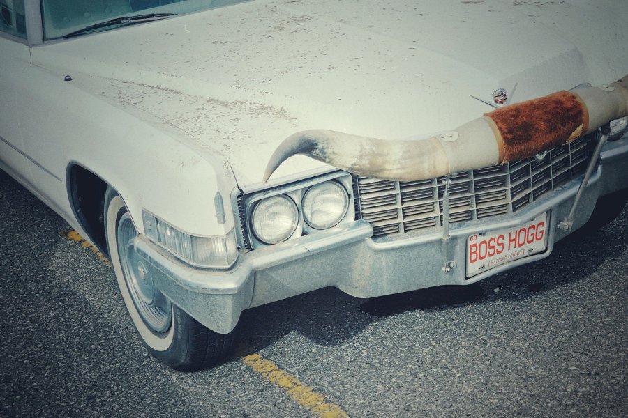 Cadillac with Longhorns