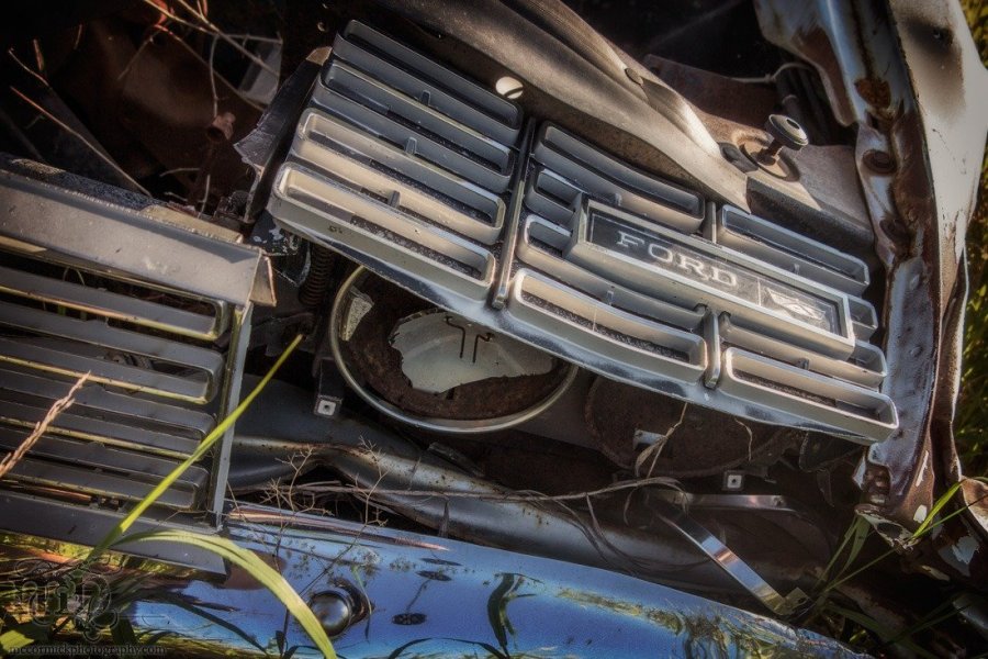 Damaged Ford Grille