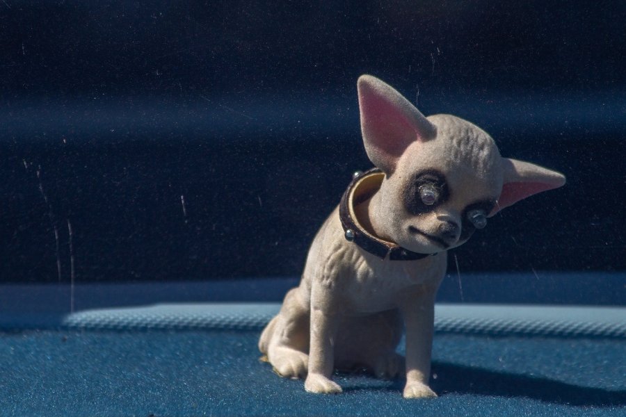 Dashboard Chihuahua Toy