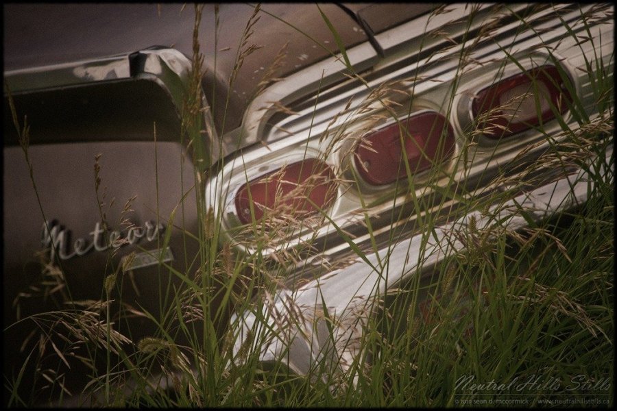 Meteor Rear End in Tall Grass