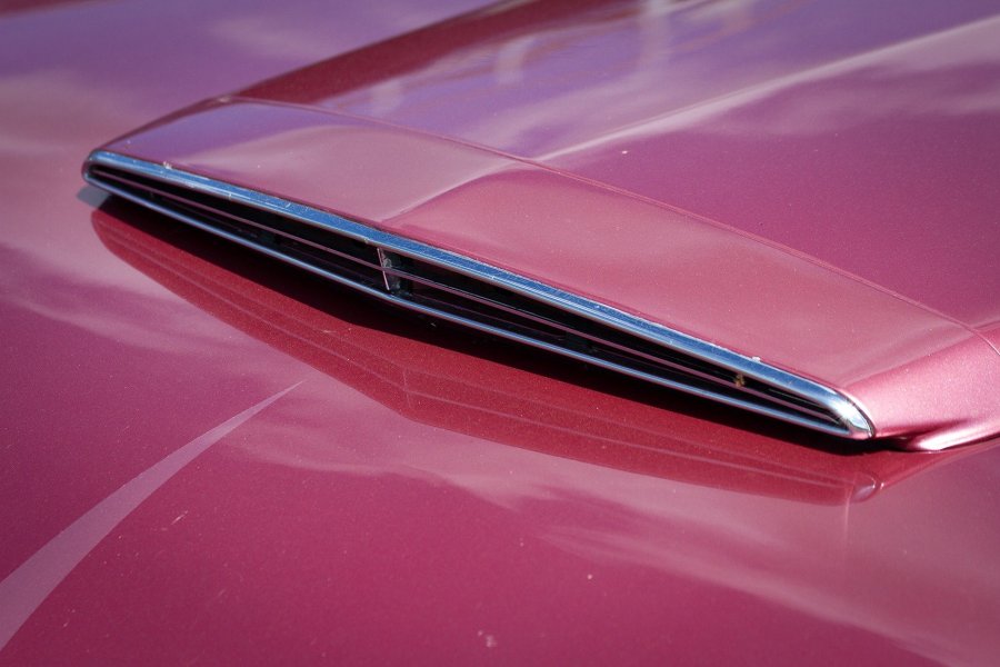 Purple Hood Scoop