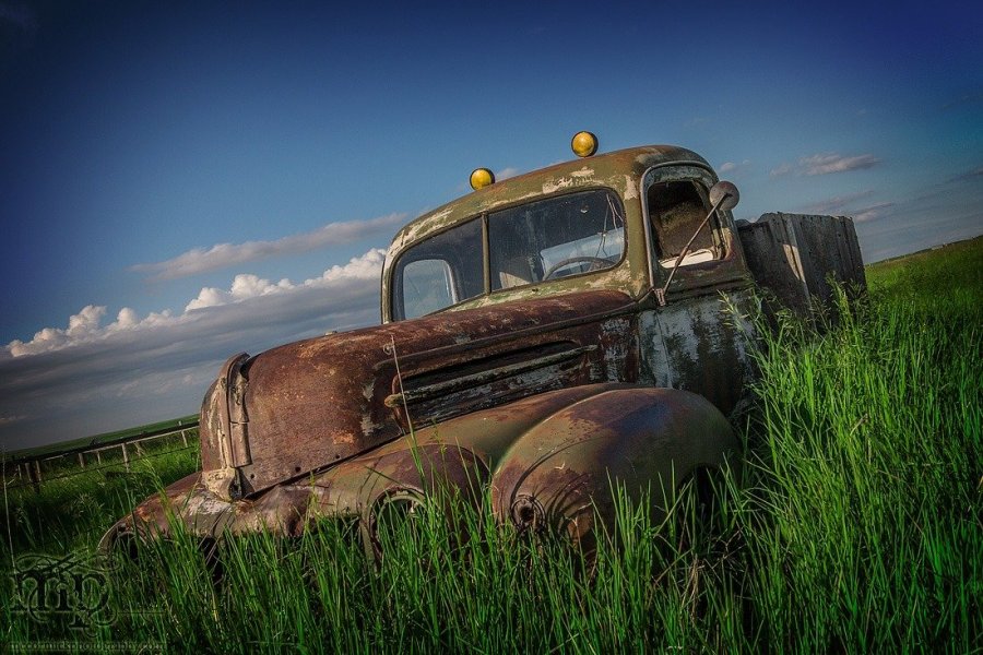 Rusted Vintage Truck in Tall Grass