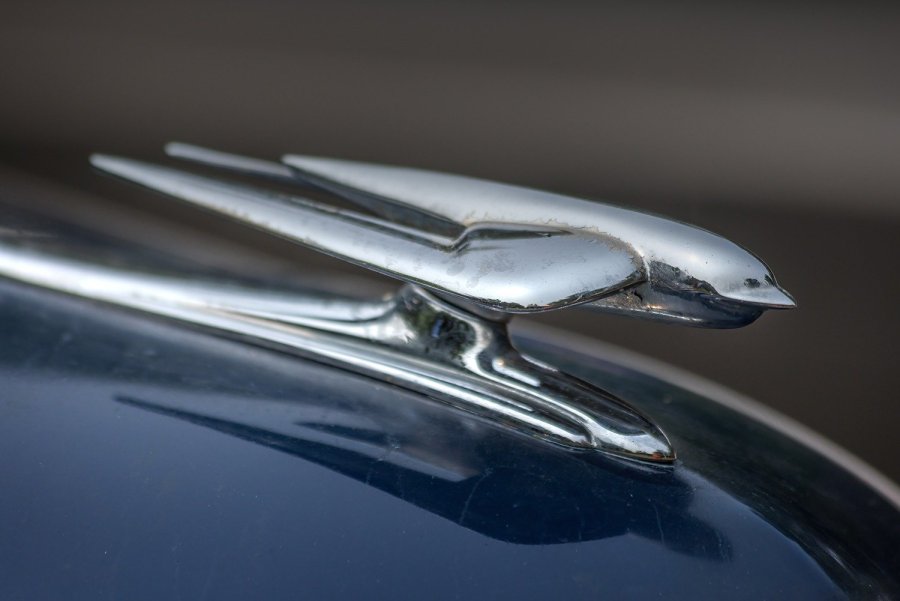 Vintage Bird Hood Ornament