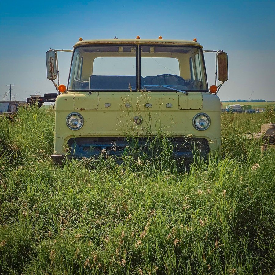 Yellow Ford Cabover in Grass
