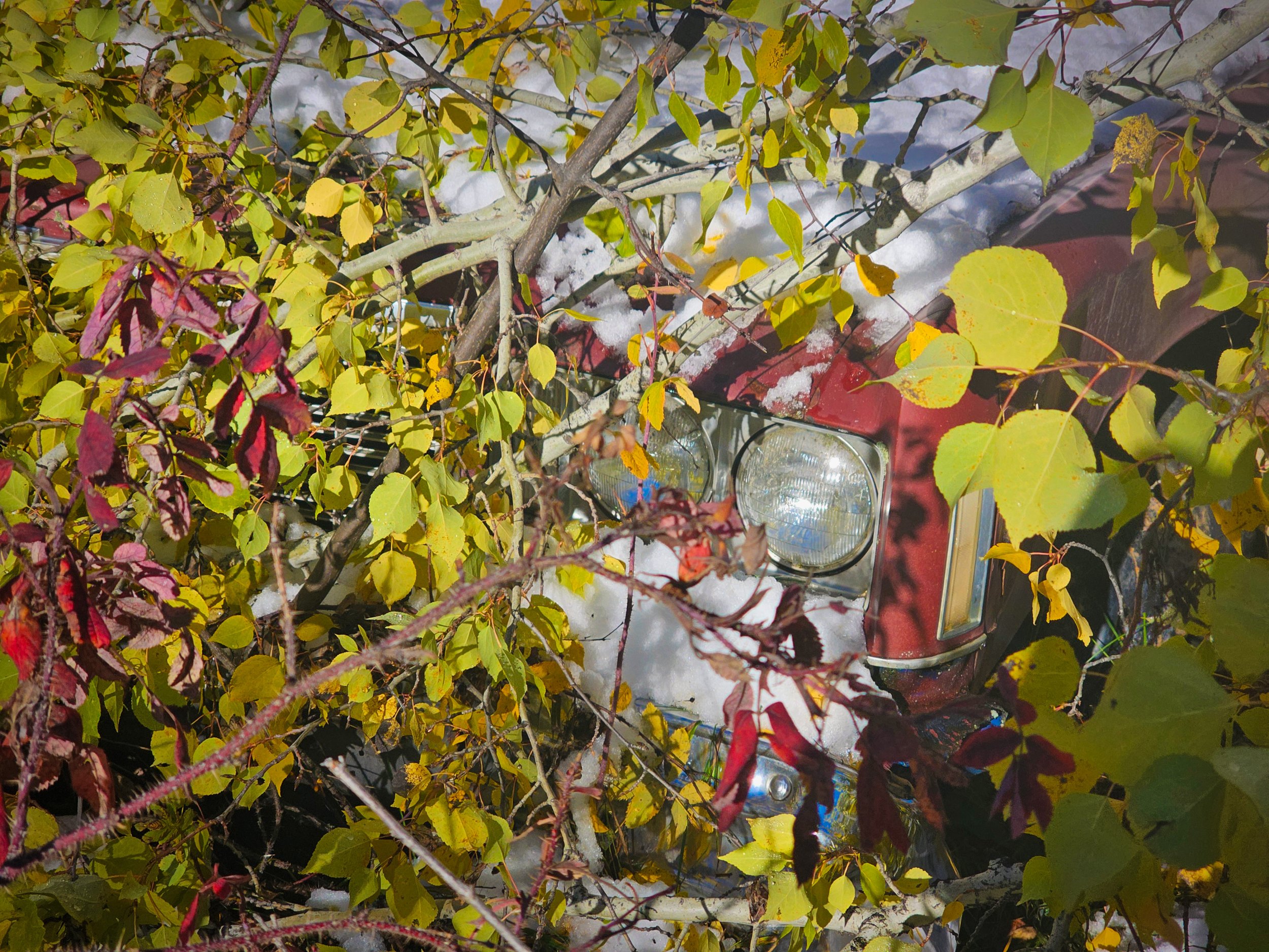 Photo by rudyrusso@usedcarparts.photoblogs.fyi